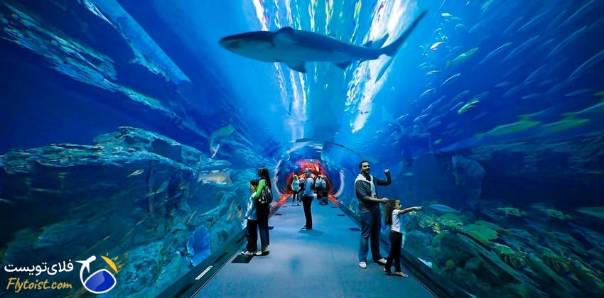 سفر با کودک،Dubai Mall & Dubai Aquarium