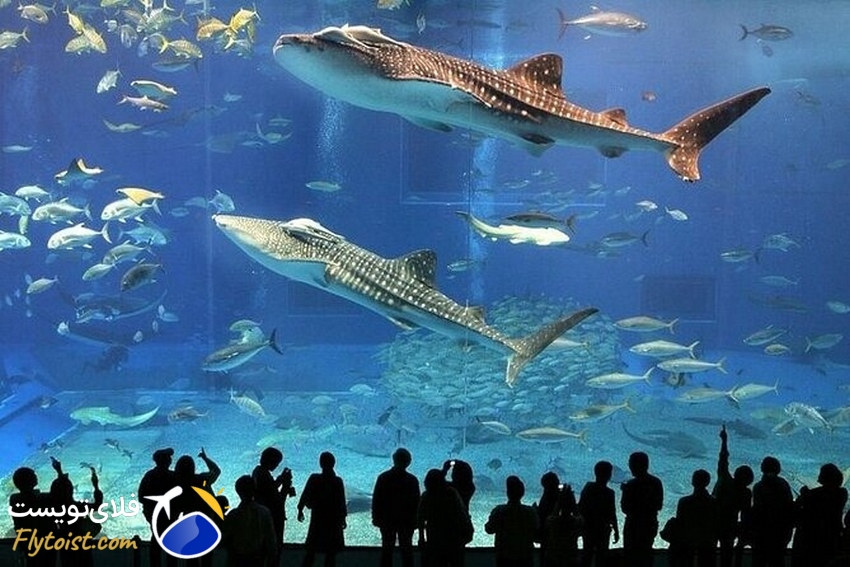 آکواریوم دبی مال