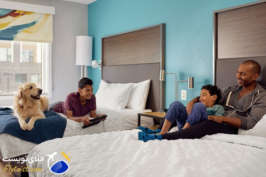 3 تا از بهترین هتل‌های پت فرندلی استانبول