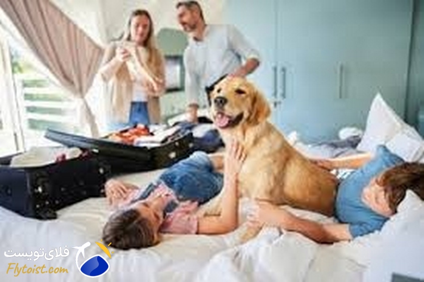 رزرو هتل استانبول، استانبول با حیوان خانگی